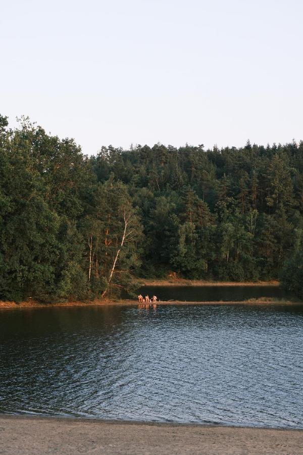 Lodge Avec Spa Privatif - Foret Et Lac Liginiac Экстерьер фото