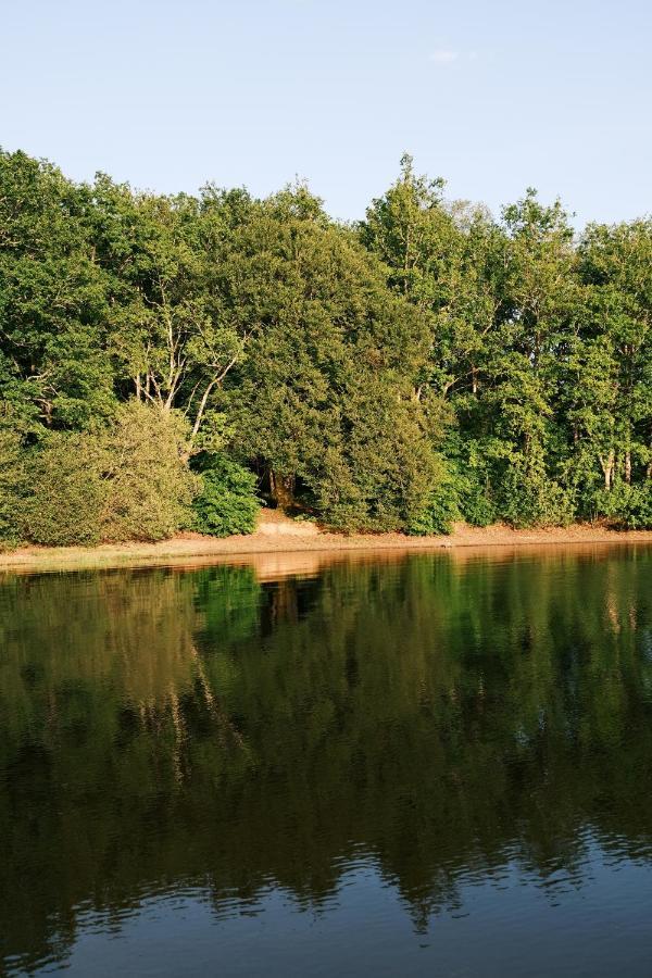 Lodge Avec Spa Privatif - Foret Et Lac Liginiac Экстерьер фото