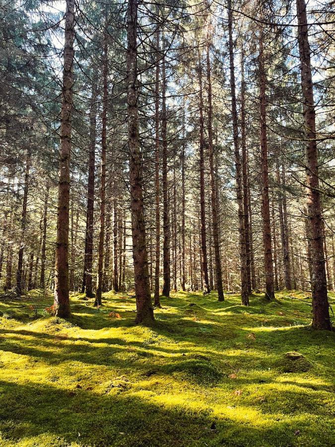 Lodge Avec Spa Privatif - Foret Et Lac Liginiac Экстерьер фото