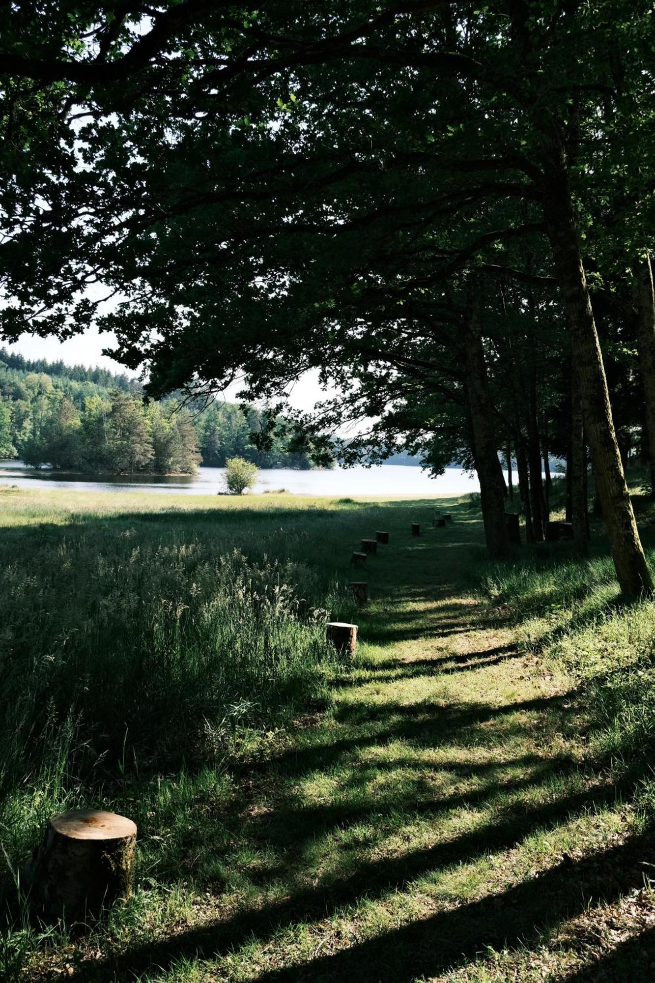 Lodge Avec Spa Privatif - Foret Et Lac Liginiac Экстерьер фото