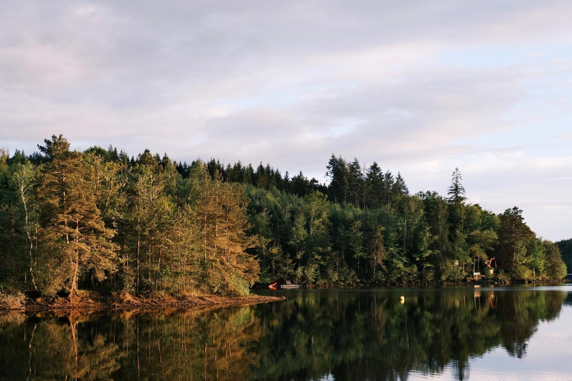 Lodge Avec Spa Privatif - Foret Et Lac Liginiac Экстерьер фото